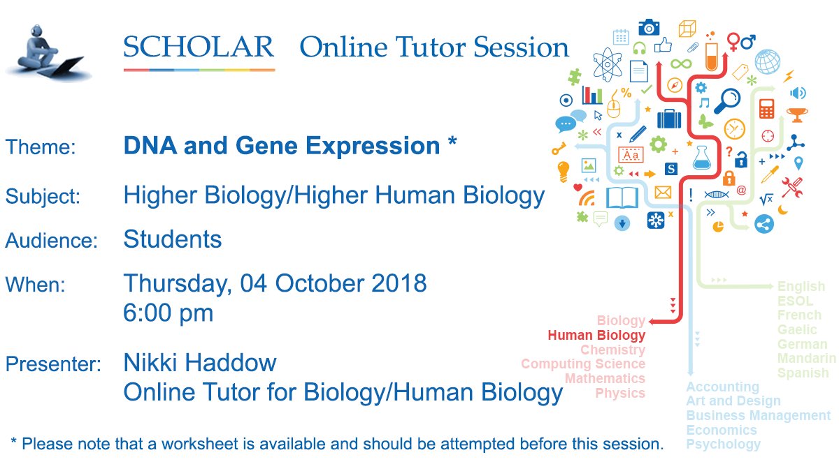 Studying Higher Biology or Higher Human Biology and wanting help with ‘DNA and Gene Expression’?

Try the worksheet and join us at 6:00 pm today, Thursday 04 October
heriot-watt.adobeconnect.com/scholartutorse… #higherbiology #higherhumanbiology #revisionhelp