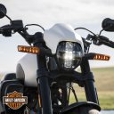 Sycamore H-D tweet media