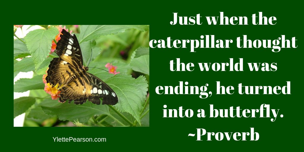 YlettePearson's tweet photo. Keep going through the tough times. It will get better. #TuesdayMotivation https://t.co/j5zwlcKyUJ