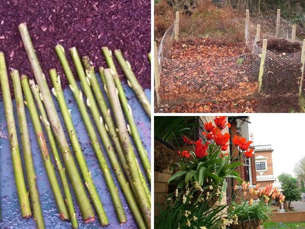What to plant in #autumn &amp; other helpful seasonal #gardeningtips for your #schoolgarden from @cmcollins_hort
<a href="/gardenorganicuk/">Garden Organic</a> bit.ly/2xRA1mh