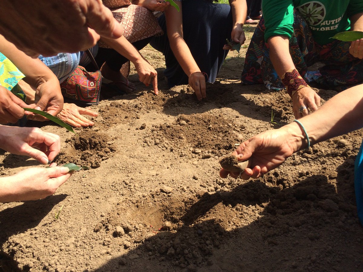 THProj's tweet image. Sowing seeds of #freedom with women farmers in the Gardens of Hope during DWD at @NavdanyaBija. #OurBreadOurFreedom #biodiversity #MahilaAnnaSwaraj #thefutureisfemale