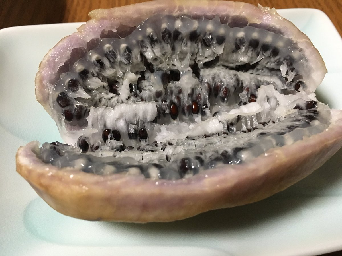 toro_to's tweet photo. 苦手な人いたらごめんアケビだってこれ……なんかね……小麦粉に水いっぱい混ぜてちょっと砂糖とかしたみたいな味する…… https://t.co/DkPeUGkExj