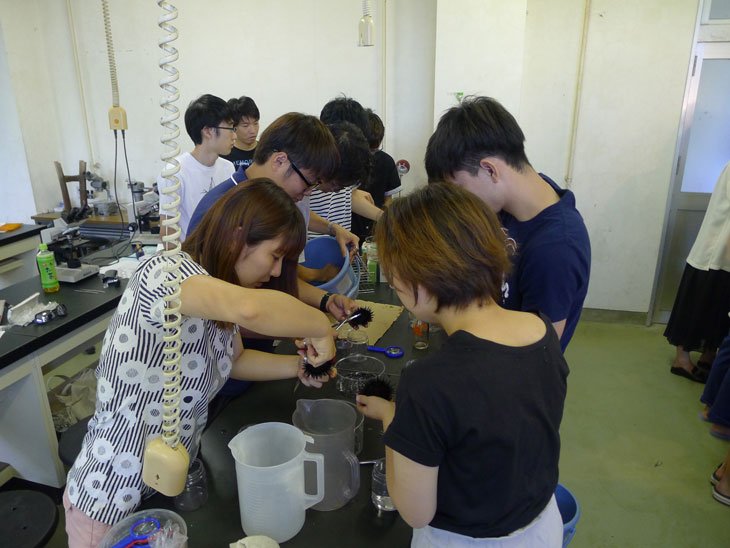 甲南大学 理工学部 生物学科 臨海実習の写真を追加します 甲南大 生物学科 臨海実習