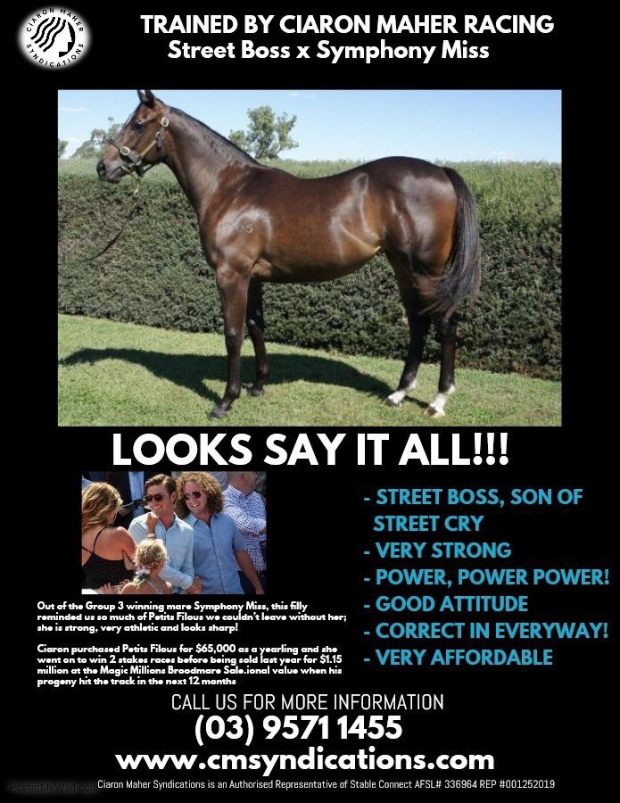 MaherCiaron's tweet photo. LOOKS SAY IT ALL!!! POWER, POWER!

A beautifully put together STREET BOSS Filly with great strength behind the saddle, She possesses a lovely, relaxed temperament. 

This filly presents extraordinary value 2.5% @ $3,392. For a copy of the PDS or to secure your share please DM. https://t.co/inlSrS3Njs