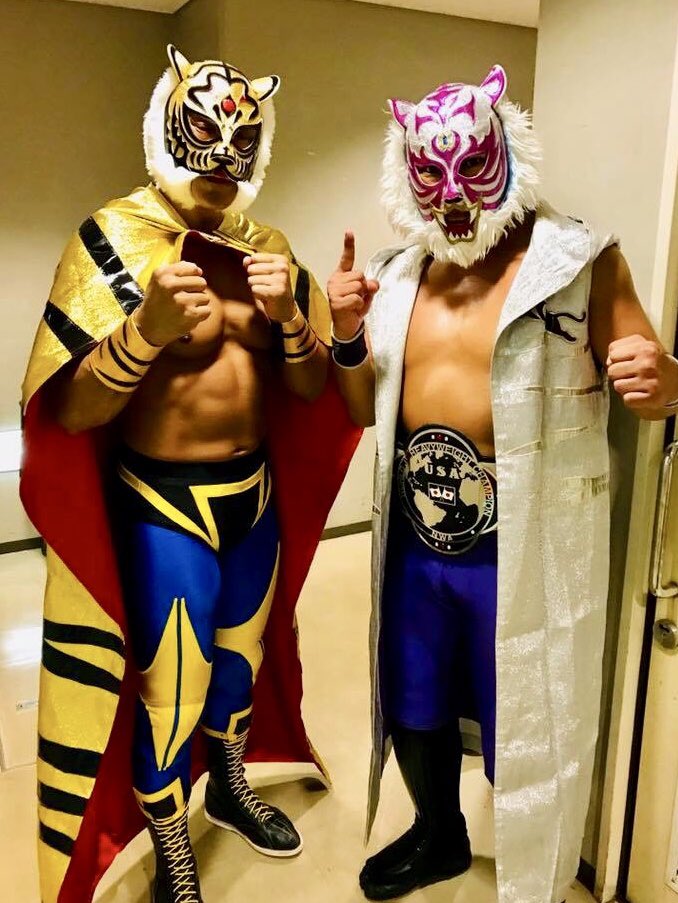 ❣️タイガーマスク初期デザイン希少 水素獣エッチ　セット販売 ❣️タイガーマスク初期デザイン希少 水素獣エッチ セット販売