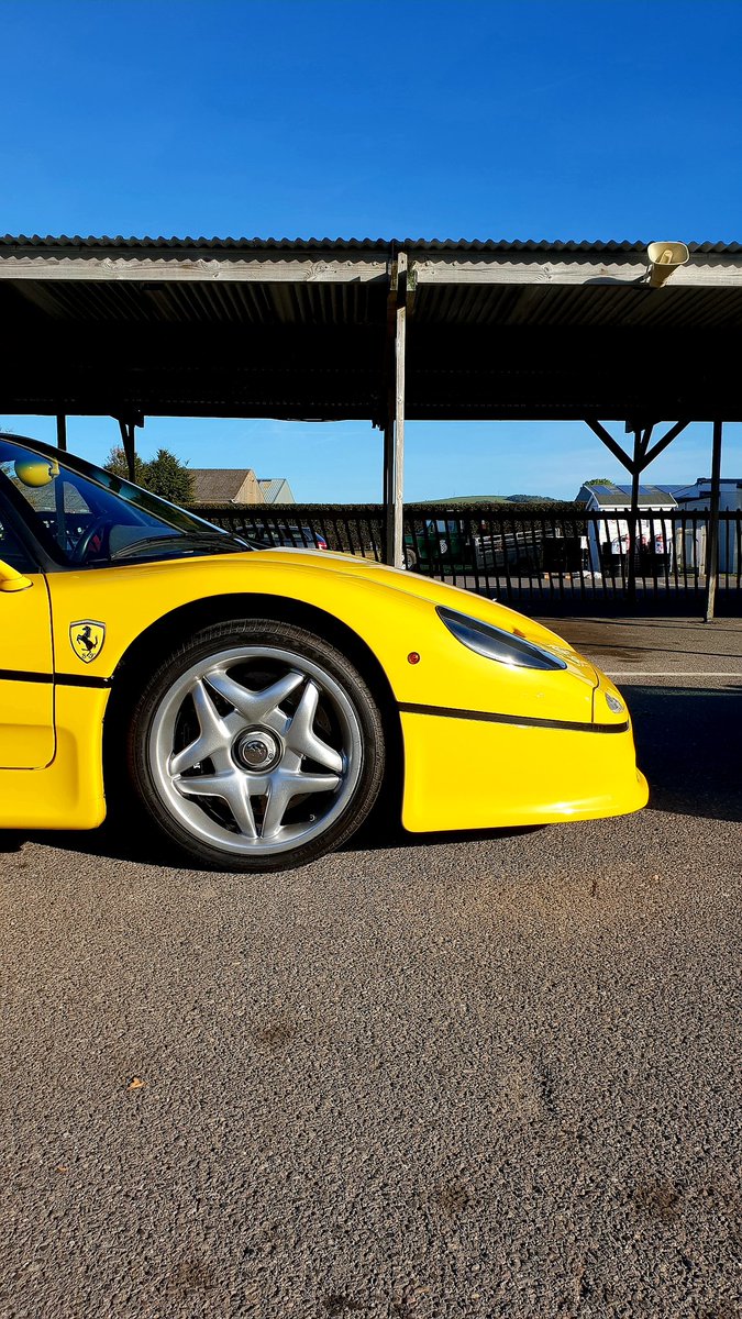 Boxdldn's tweet image. The perfect compliment to a crisp autumn morning. #ferrarif50 #ferrari #f50 #supercarstorage