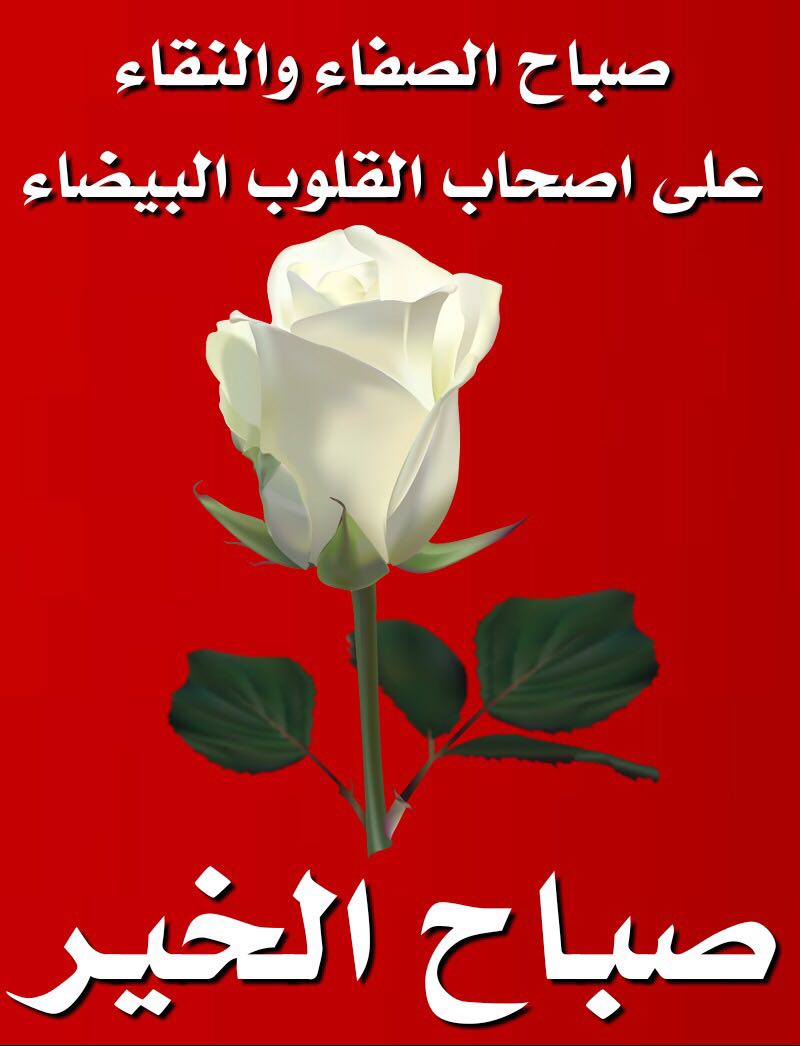 <a href="/9OFlooYYmZ0Fbgv/">هيام بافضل</a>