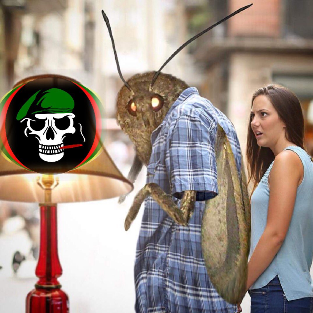 BSR5Official's tweet photo. Let BSR5 be the Lamp that guides you! #mothmemes #magamoth #TimeOfTheMoth
#mightymoth #BSR5MothMemes #lamp #LampLovers #guidinglight https://t.co/9KBBCnWBrp
