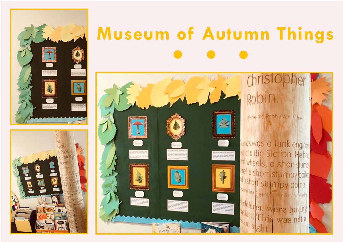 WSCCLibraries's tweet image. Autumn is here at Crawley Children's Library! Come and learn a little about these leaves inside then see if you can discover them outside! #librariesforlearning #autumnleaves #CrawleyLibrary