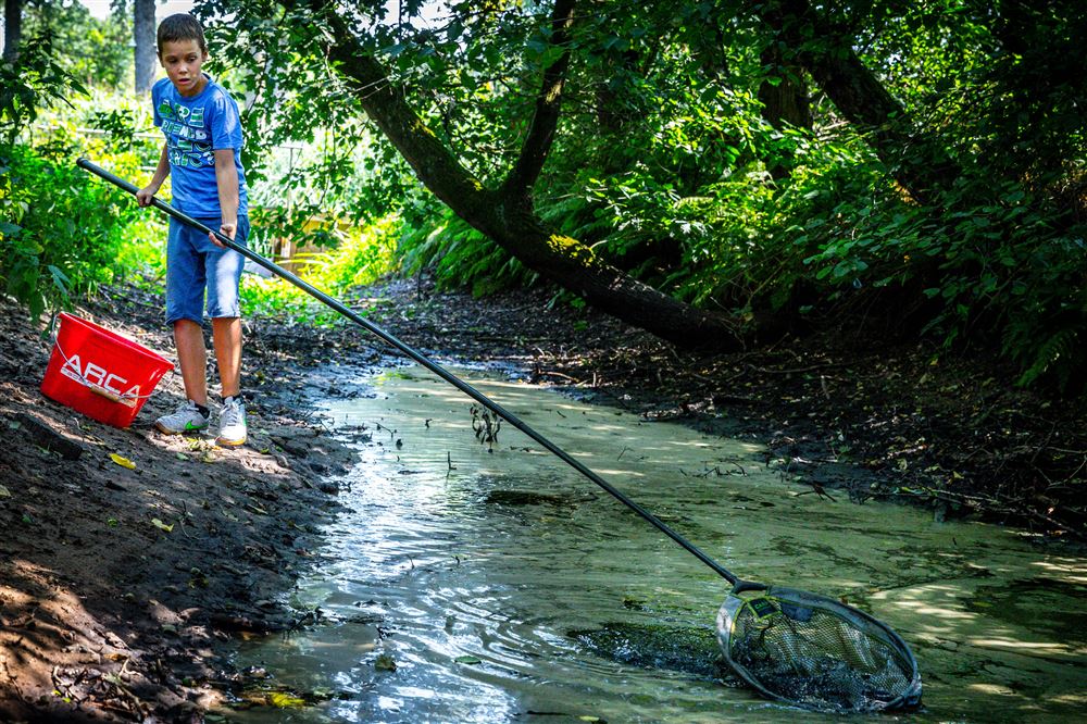 'Op 70 procent van onze meetlocaties gaan beestjes dood of worden ernstig ziek door bestrijdingsmiddelen’ demonitor.kro-ncrv.nl/artikelen/tien…