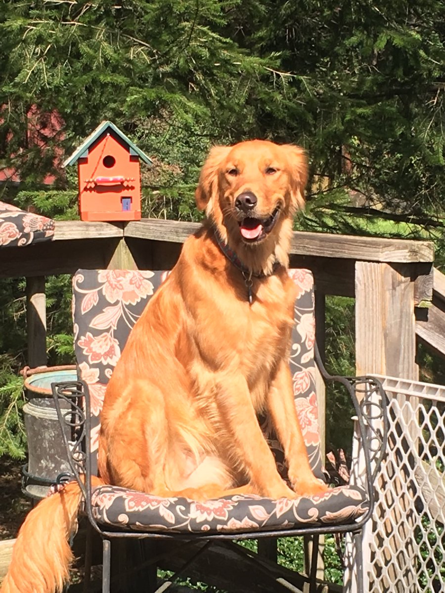 My attempt at creating cover art for a John Denver album.