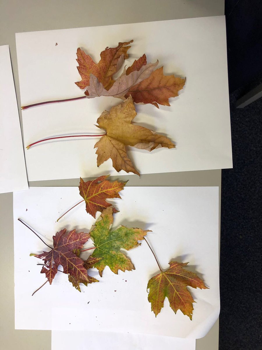 NurturingmindLC tweet picture
