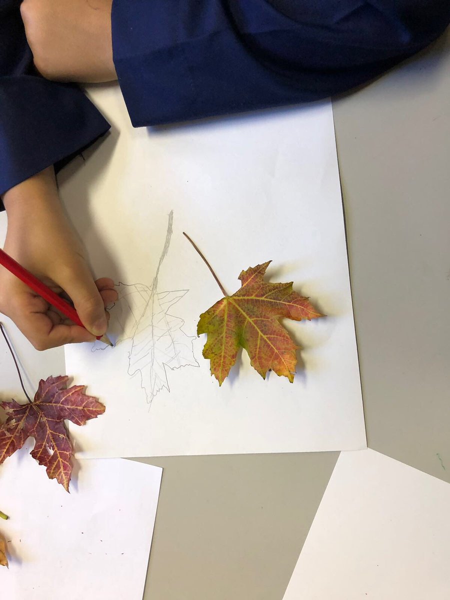 NurturingmindLC tweet picture