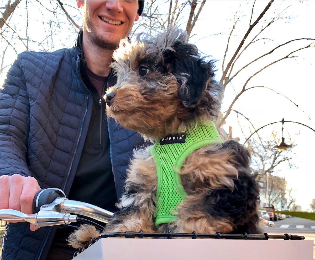 Pace Bike Share tweet media