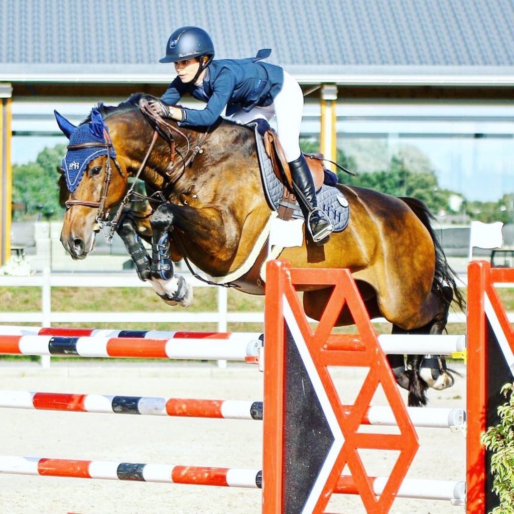 Always make a total effort, even when the odds are against you. ✌
Arnold Palmer 

#Repost @alisevoken
・・・
My everything ✨💫 always giving me everything! ❤🙌🏻💖 #hitchcockvdbroekkant