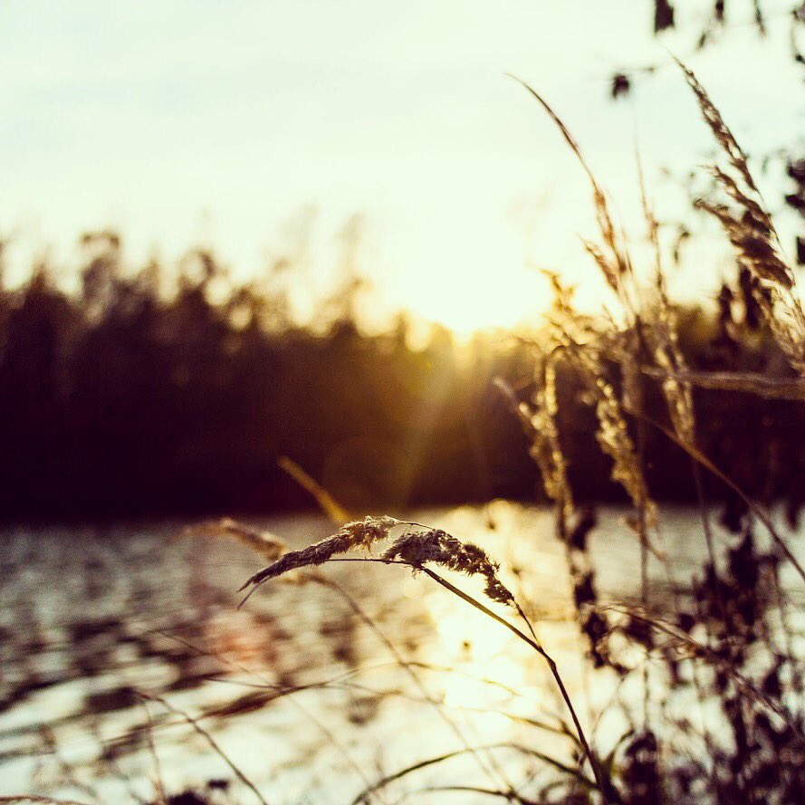 simpledits's tweet image. I love the season of the #autumn🍁🍂🍃. 
All these amazing colors in nature and when the sunset is in Golden Hour. It shows us most of these colors only through the lens

#fall #autumn🍁🍂 #landscape #nature #autumn #autumn🍁#fall  #colors_of_day #autumn🍁2018
#landscapephoto