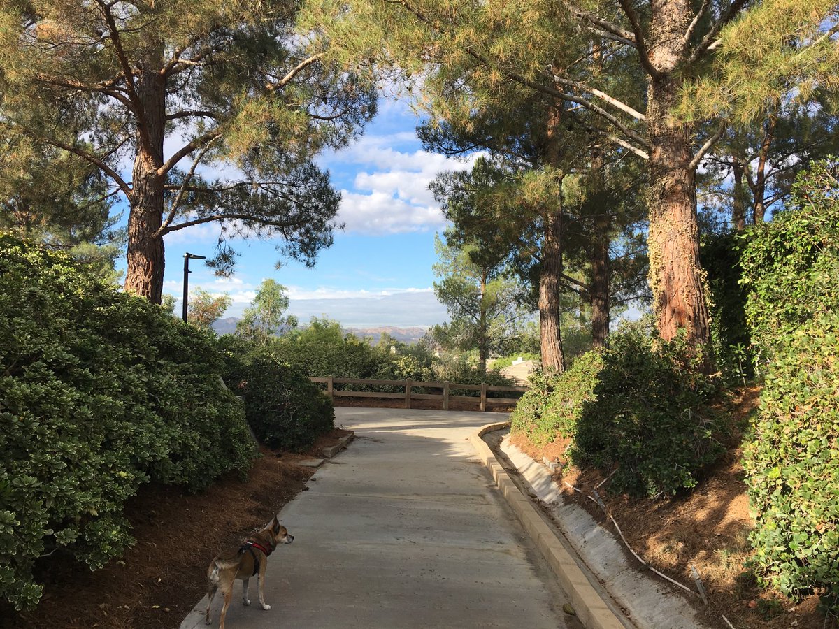 blee01's tweet image. #goodmorning