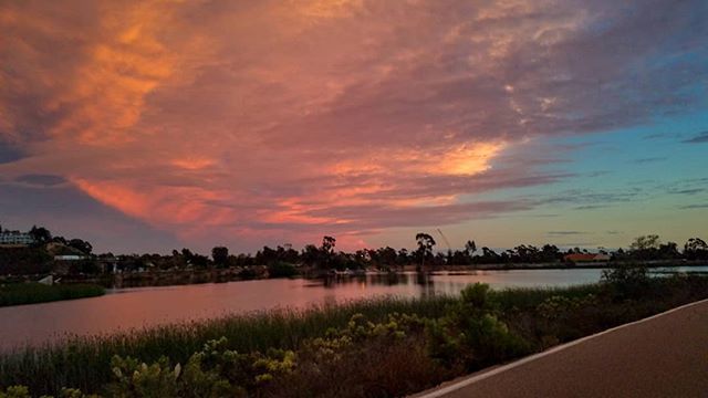 RideAlongside's tweet photo. A great #mtbMonday on the trails around #miramarreservoir in #sandiego with the #LinkedSD crew. I can't believe next week will be my last #mtbMonday with them for a while. #torn https://t.co/enZj07phBz https://t.co/PznikhuF3x