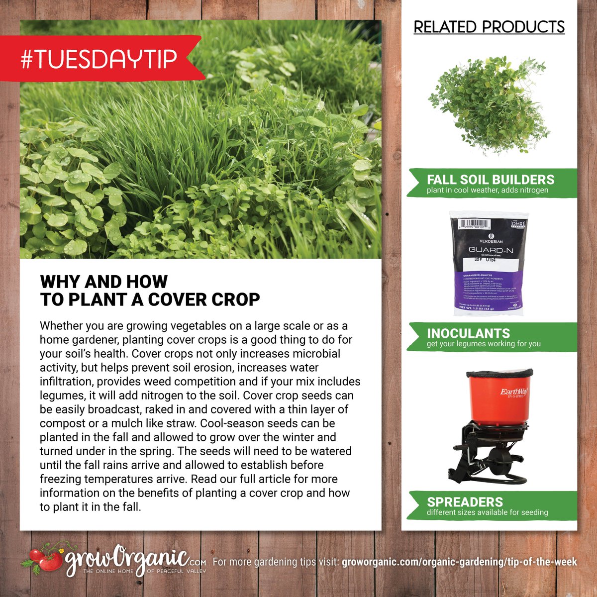 GrowOrganicCom's tweet photo. Here's your #TuesdayTip
"Why and How to Plant a Cover Crop"
https://t.co/6fxC0lpaTS
#GrowOrganic #PeacefulValley #gardening #growing #organic #CoverCrop #SoilBuilders #Inoculants #Spreaders #soilhealth #fallplanting #fallgardening https://t.co/g2e7LRO5Rt