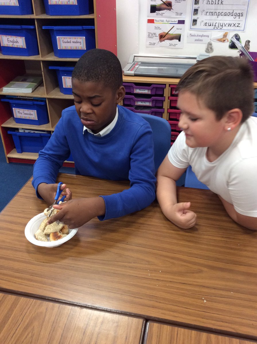 MowmacreHill's tweet photo. Year 4 used their knowledge of digestion to make their own poo! #disgustingdigestion #EOFYR4 @DavidBr20600287 @DSATScience https://t.co/MdNPvsOeId
