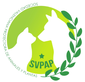 pokemongovlc's tweet photo. Comienza el plazo para decidir la asociación beneficiaria de las #ChapasSolidariasValencia de Octubre!! Entre en el canal https://t.co/z4MYPdnhxe y vota por la que más te guste! https://t.co/5MWyvjowI2 https://t.co/vhX3h8HSFk