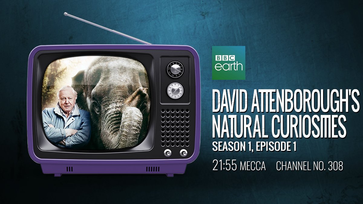 beIN's tweet photo. شاهد الحلقة الأولى واكتشف أكثر الحيوانات التي أثارت فضول "ديفيد اتينبورو"

What intrigues David Attenborough? Find out all about the animals that he finds most curious of all in this first series of #NaturalCuriosities 🦎 this evening on BBC Earth! https://t.co/9x7aItbD2h