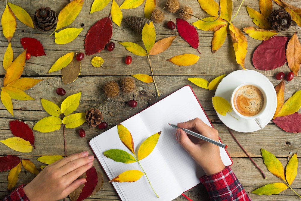 origineurs's tweet image. Do you write #novels, #shortstories, #poetry or #screenplays? Here’s a list of October's best competitions and opportunities open to writers worldwide: literarylightbox.com/writing-oct201… #writingprize #writing #writingtips