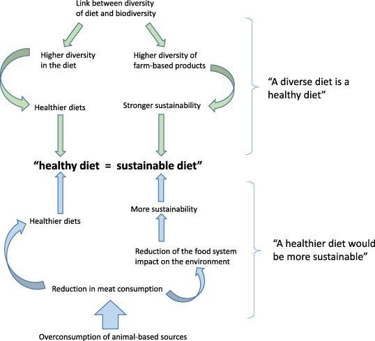 marpauta's tweet photo. When food systems meet sustainability. World Development https://t.co/0vQBJ1KlLs