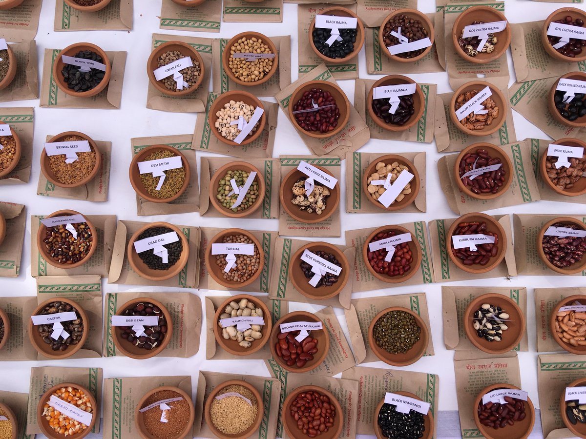 THProj's tweet image. Seeds are only in safe hands when they are in communities at the local level. We are the #defenders of #diversity. @drvandanashiva #DiverseWomenForDiversity #OurBreadOurFreedom #AnnaSwaraj #FoodHeritage