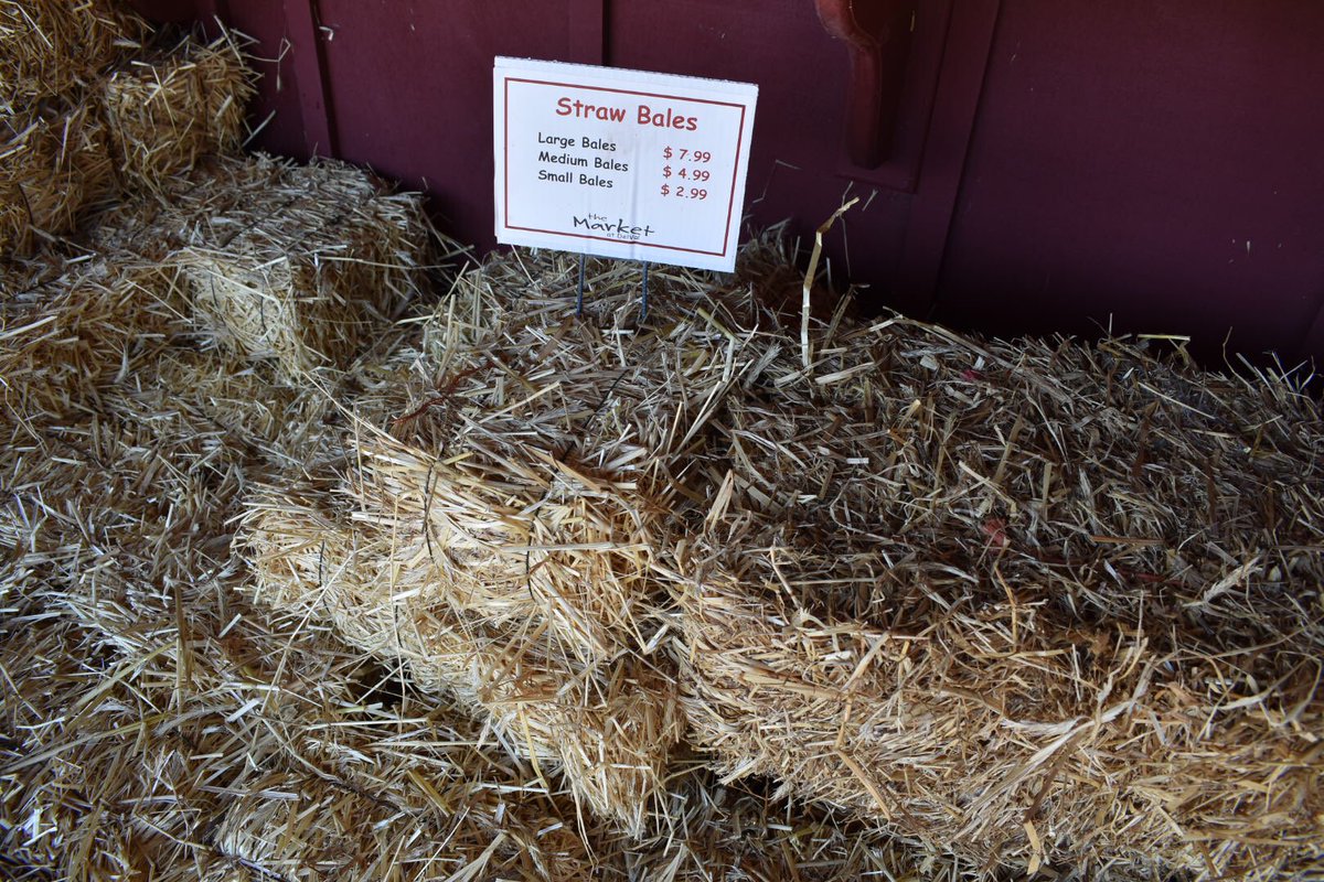FarmMarketLove's tweet photo. Looks like it’s going to be another beautiful day! And if you’re looking for straw bales and outdoor decor, we’ve got it. We 🧡 Fall! https://t.co/5K7baKWyys