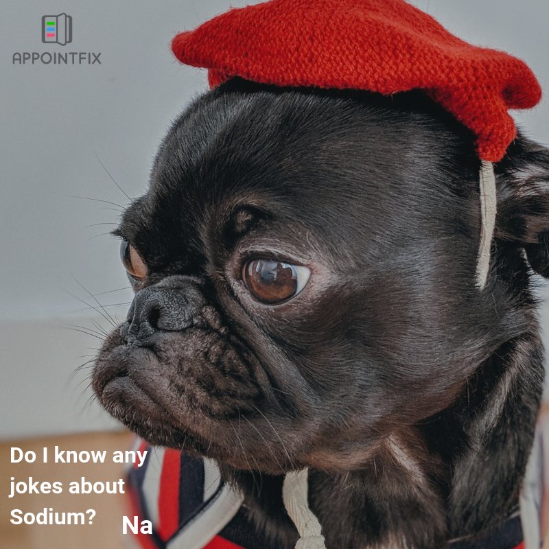 Appointfix's tweet photo. #appointfix #joke #science #dog #funnytuesday #modernappointmentbook #bestmobileapp https://t.co/3H3Lz1OD26 https://t.co/Pq5lfzf8T4