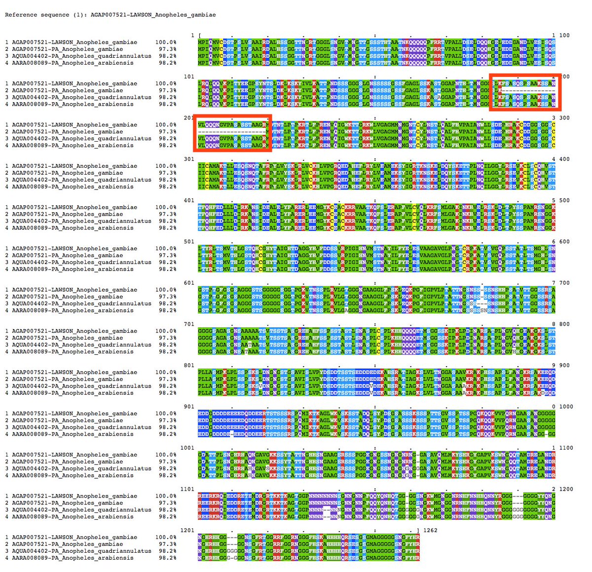 VBannotator's tweet image. Lack of evidence for in-frame introns in 2nd #alternative #isoform and subtle compensatory splice site prediction issue. Appraisal of genome annotation can be about the little things. #MarginalGains #VBannotation