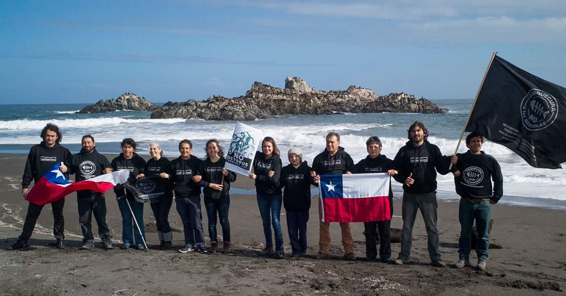 BaruManosalva's tweet photo. #DíadelMedioAmbiente
La nueva región de Ñuble dice NO a los proyectos acuícolas en Cobquecura.

#ÑubleSinSalmoneras 

@TSCobquecura
@AParqueSchleyer
@MMAChile
@chillanactivo https://t.co/hJB1Vr3bto