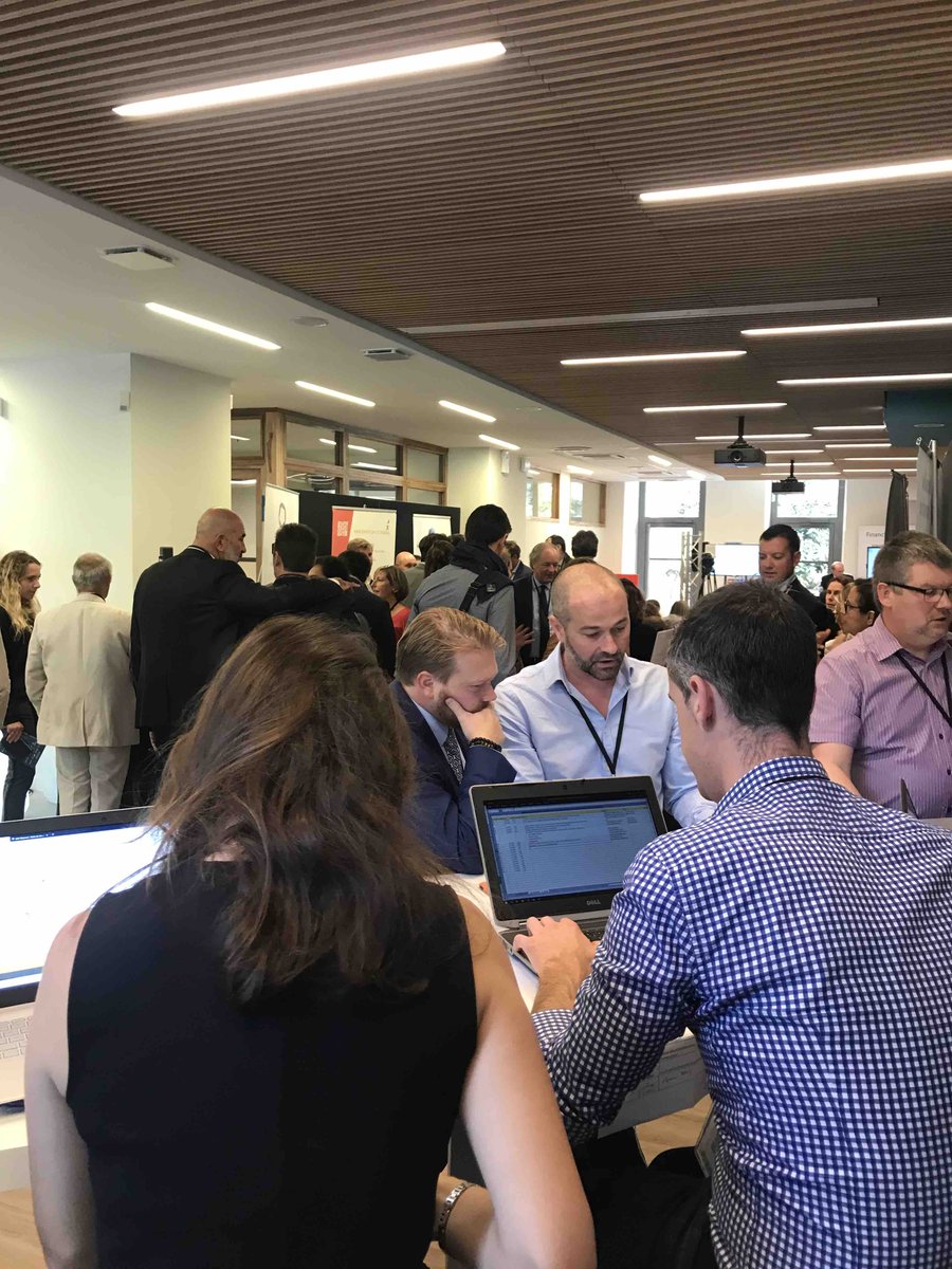 DOT camp tweet media