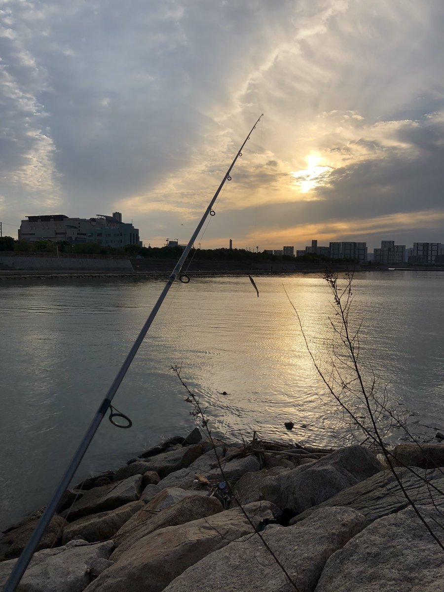 コハダはそのままで こはその 関西インカレ釣りサークル Fishing Kansai Twitter コハダはそのままで こはその 関西インカレ釣りサークル Fishing Kansai Twitter