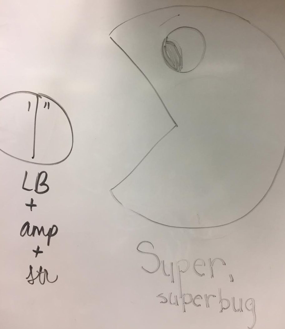 C_Matusevich's tweet photo. Beware of the superbugs that #medicalinterventions students are creating! #labskillz #spooky #itsforscience @chccs @PLTWorg https://t.co/trzkMrk9lN