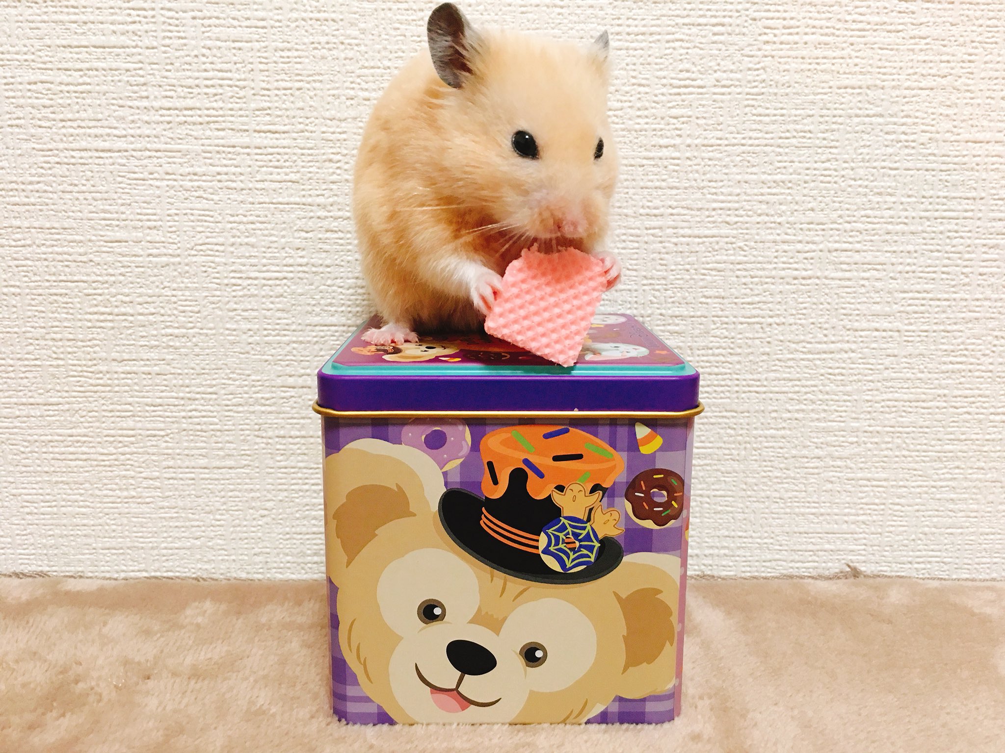 うりぐり ディズニーたのしみ キンクマハムスター ハムスター ディズニー ディズニーハロウィン T Co N2tycu0ny8 Twitter