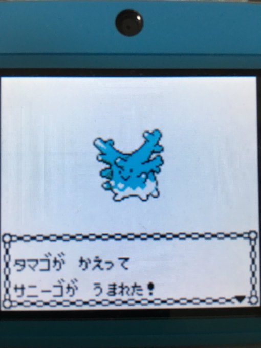 色違いポケモン紹介 Vc産サニーゴ 自由に生きてあそblog