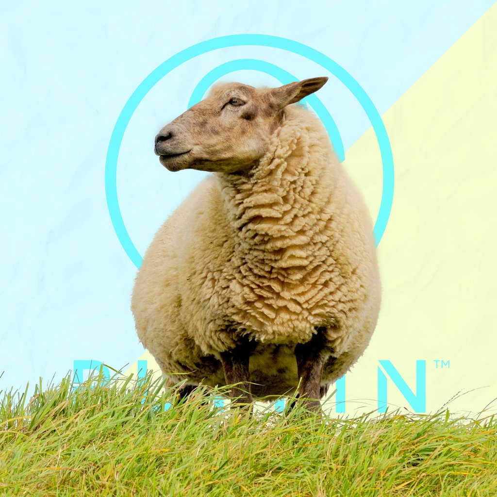 PuffinPackaging's tweet photo. Did you know? 🤔 A baseball contains about 370 yards of the wool windings ⚾️ which provide resilience to withstand the crushing impact of a batter’s hit 💥 That's a lot of wool, and a lot of strength! 🐏 #sheep #wool #nature #puffinpackaging https://t.co/Hcf0lZHjSC