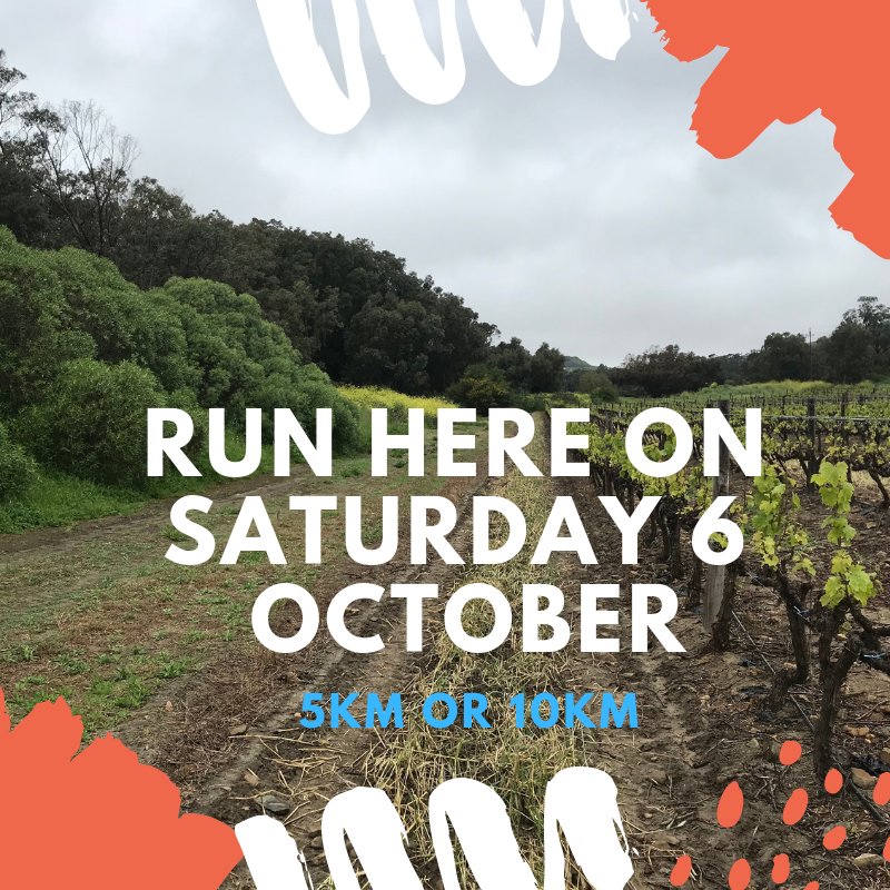 TrailFun tweet media