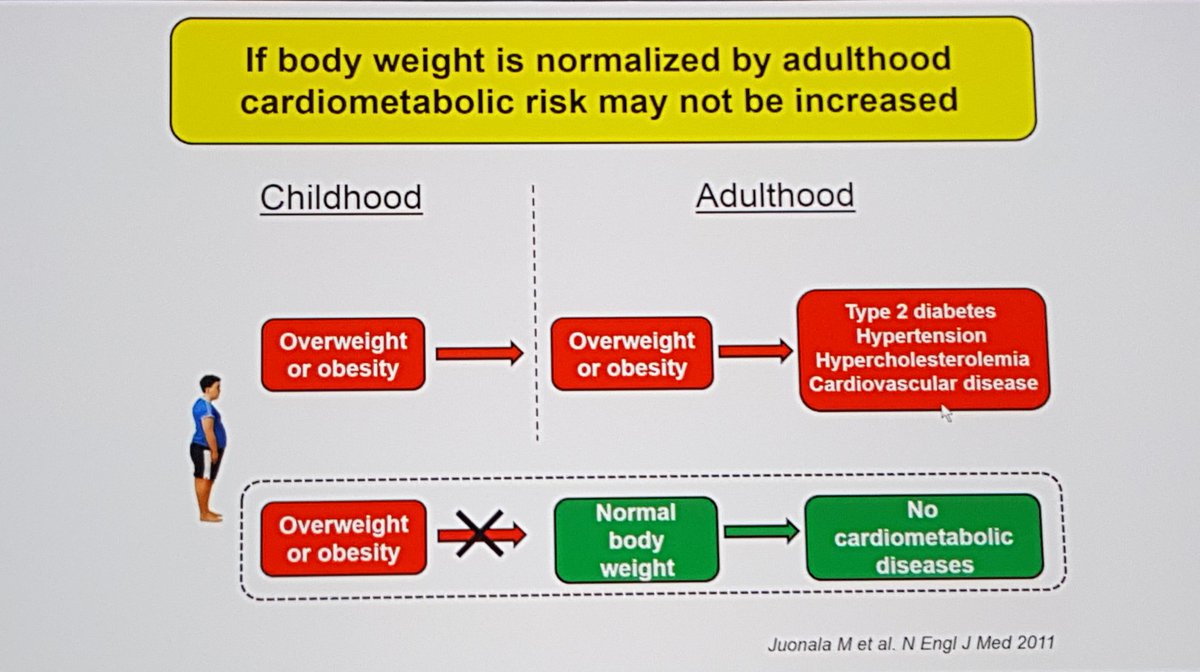 anumaariah's tweet photo. #EASD2018  prof Jaakko Tuomilehto Lifestyle muutoksilla saadaan vaikutuksia Kohti tervettä aikuisuutta #diabetesfi https://t.co/vsoVe59cXz