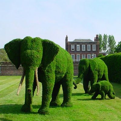 LandscapeEvent's tweet photo. A cute little heard of topiary elephants in a large estate garden #topiarytuesday #topiaryanimals #gardenestates #landscaping #gardening #landscapedesign #largegardens #pruning #boxwood #planting https://t.co/Sdt5mNvWZf