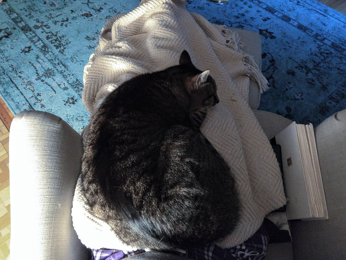 Time for another round of my full bladder vs. my desperate need for my cat's affection. That sweet, sick, snuggly bastard. #cats #catpeopleproblems