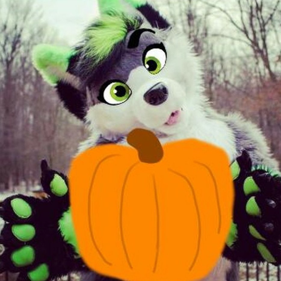 Firefly_Wolfy's tweet photo. Would you like to carve this totally real pumpkin with me??? πππ I promise this is not a CGI pumpkin~
πππ #furry #furries #furrys #fursuit #fursuiter #furryfandom #furryart #firefly #fireflywolfy https://t.co/m9pHflXSab