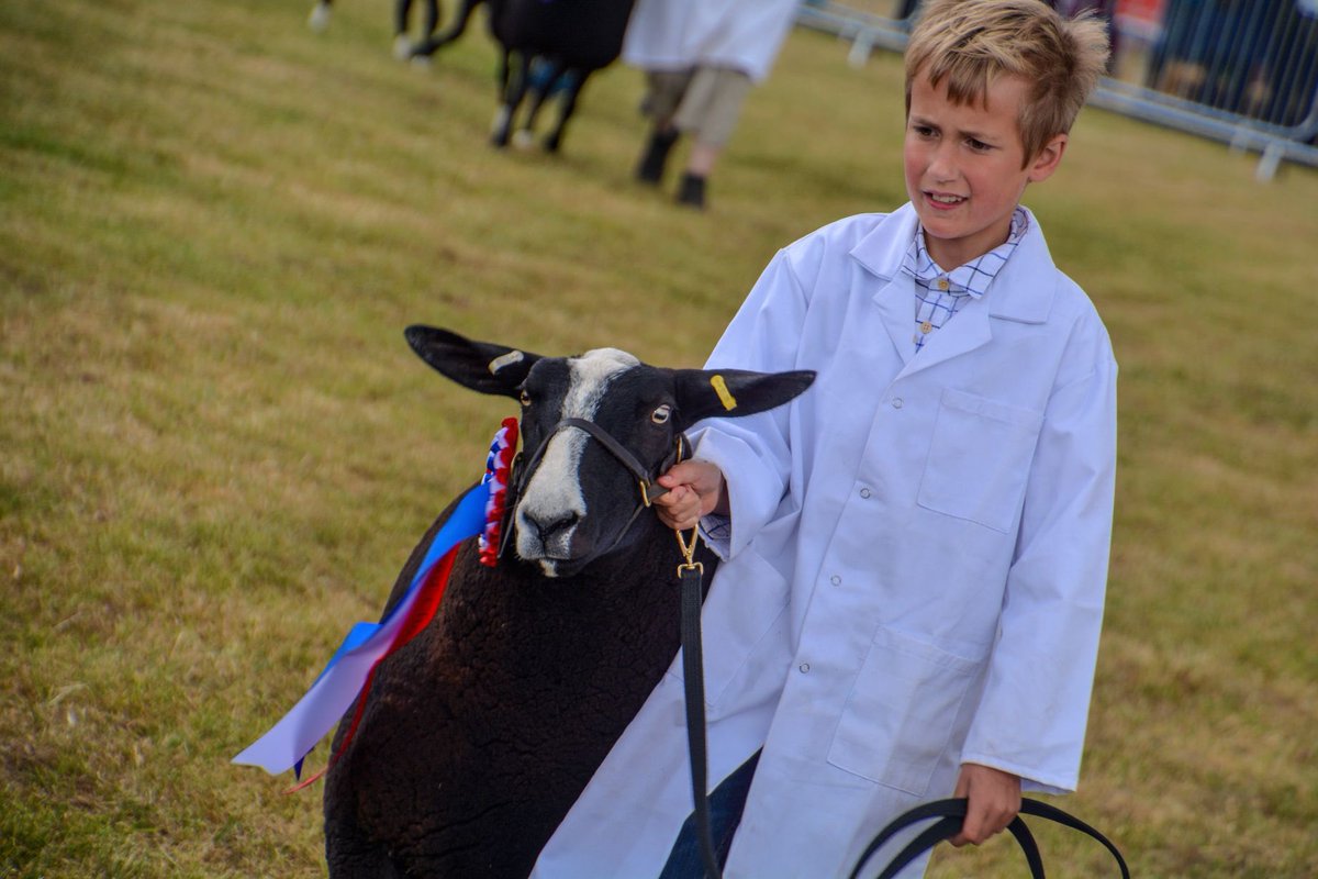 middevonshow's tweet photo. We certainly had a busy sheep section with over 700 entries !
#sheep #sheepshow #middevonshow #middevonshow2018 #knightshayes #nationaltrust #tiverton #cullompton #crediton #middevon #devon #southwest #livestock
Pictures thanks to @lewis_clarke88 https://t.co/38soIEtzci