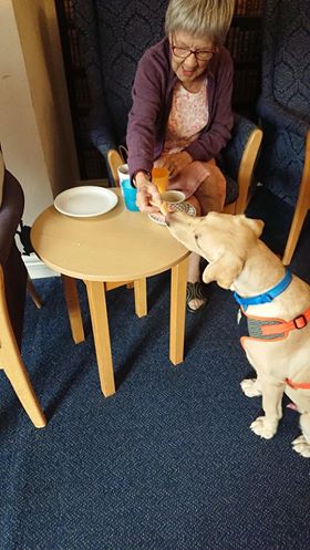 HestiaCare88's tweet photo. Sammy loves snack time with Dot at Berehill House Care Home 🐶🐕
#Therapydog #Carehome #Resident #Dementia #Hampshire #Healthcare https://t.co/9sNjRhZvLJ