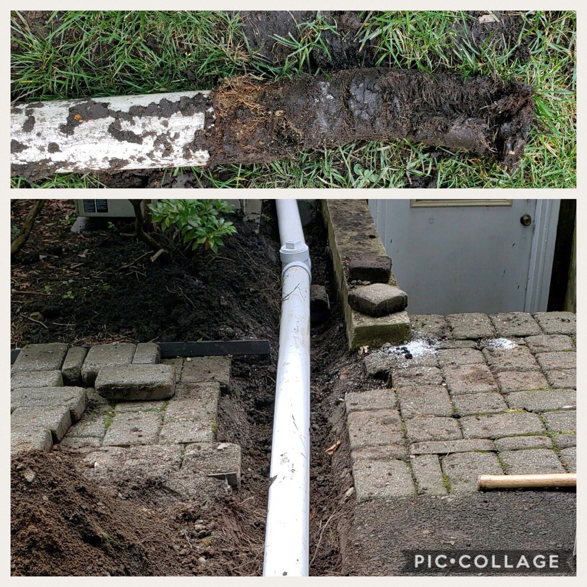 allclearnj's tweet photo. Replaced a root infested section of drain line. https://t.co/Zh0vqjeNZ7