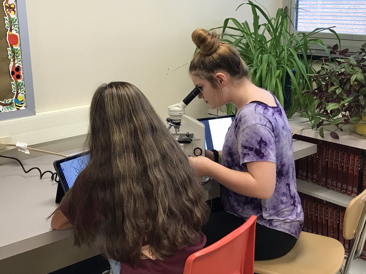 TracySilvis's tweet photo. Today, we are using microscopes to look at cells from all 5 kingdoms.  #JSAMSComeAlive #7thgradescience https://t.co/t9wDxxY7vz