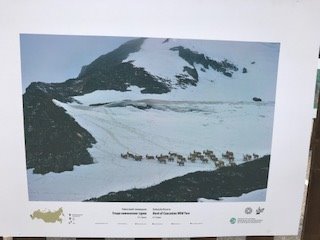 SCI Foundation tweet media