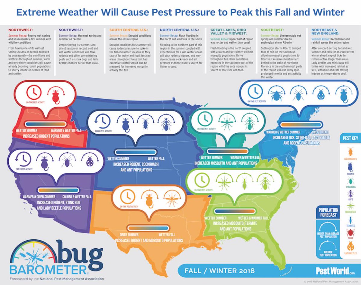 MrBuggs1's tweet photo. Due to recent storm events we can expect mosquito populations to increase. Excessive moisture will also lead to a increase in termite activity as well.
#MrBuggs #MrBuggsPelham #PeskyPestProtection
https://t.co/S3KzwzfVIE https://t.co/eTWhmtUmW0